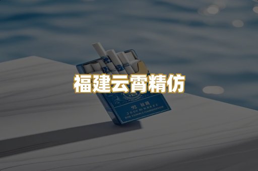 福建云霄精仿
